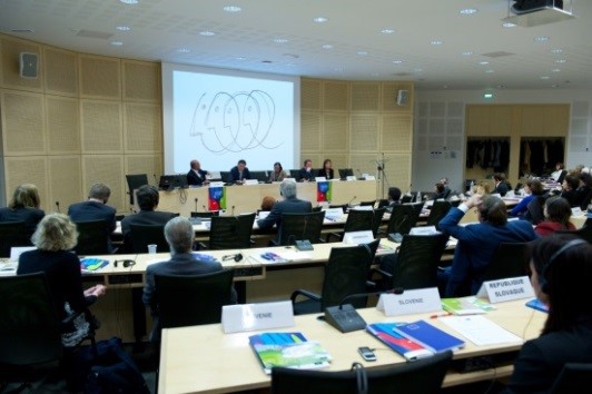 Council of Europe, Komitet rządowy